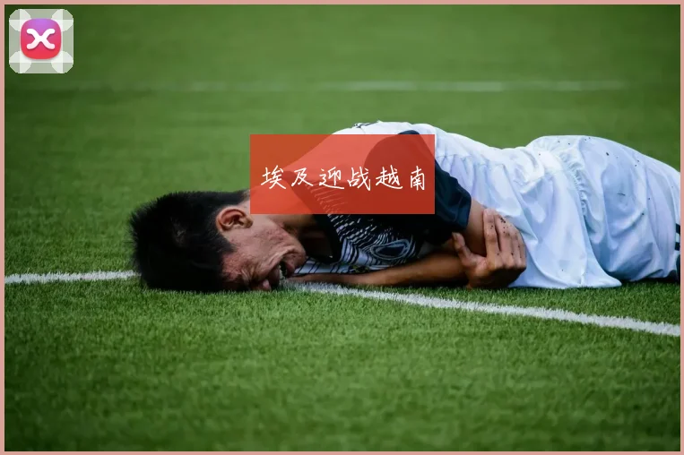 埃及迎战越南