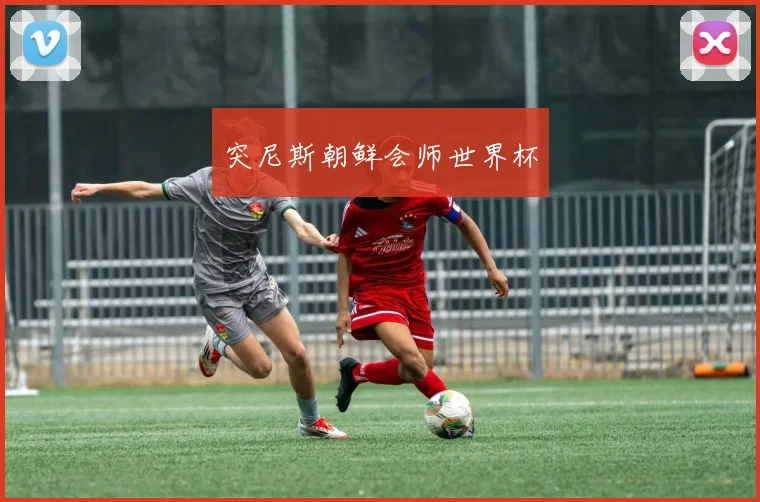 突尼斯朝鲜会师世界杯