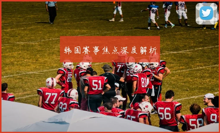韩国赛事焦点深度解析