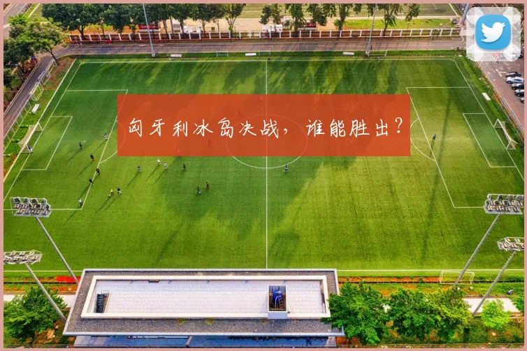 匈牙利冰岛决战，谁能胜出？