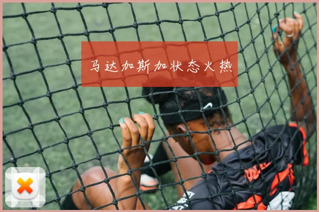马达加斯加状态火热