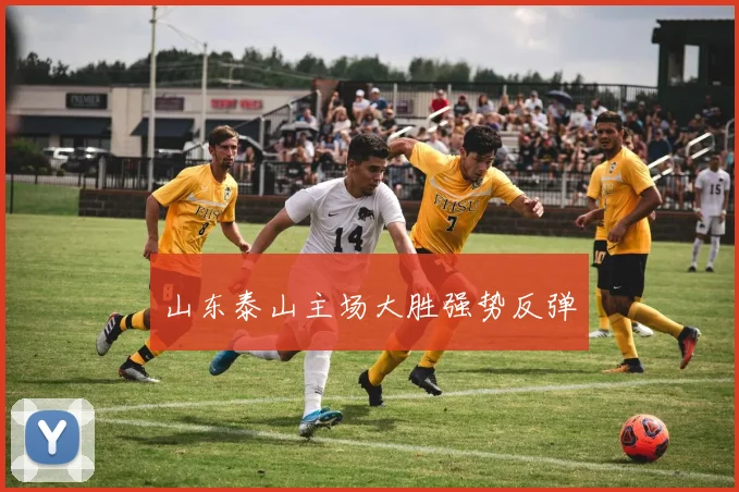 山东泰山主场大胜强势反弹