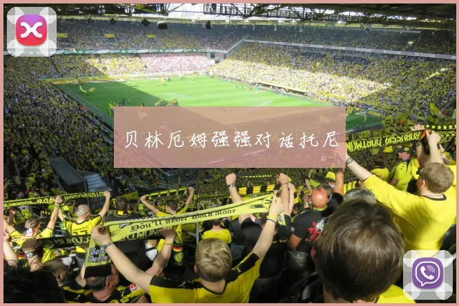 贝林厄姆强强对话托尼