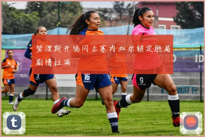 努涅斯开场闪击塞内加尔锁定胜局剧情拉满