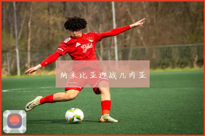 纳米比亚迎战几内亚