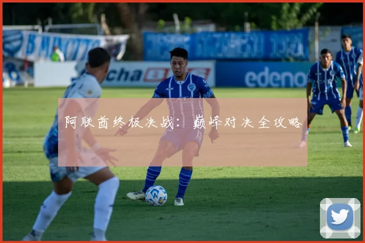 阿联酋终极决战：巅峰对决全攻略