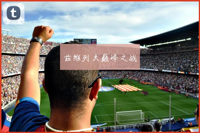 兹维列夫巅峰之战