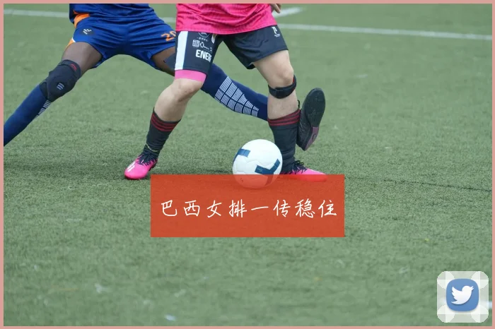巴西女排一传稳住