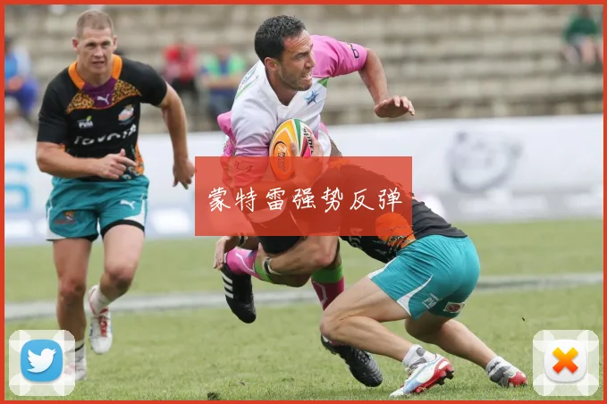 蒙特雷强势反弹