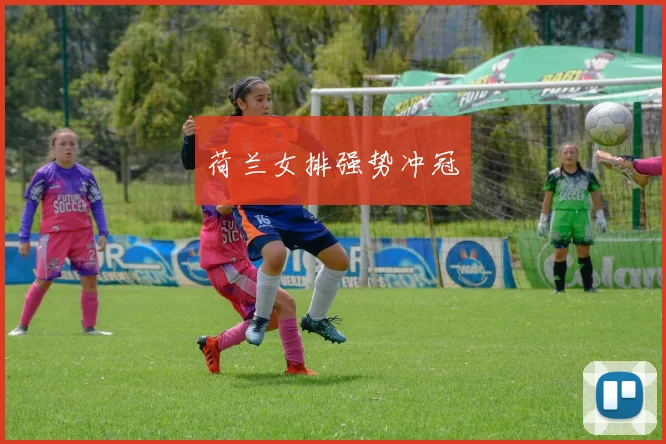 荷兰女排强势冲冠