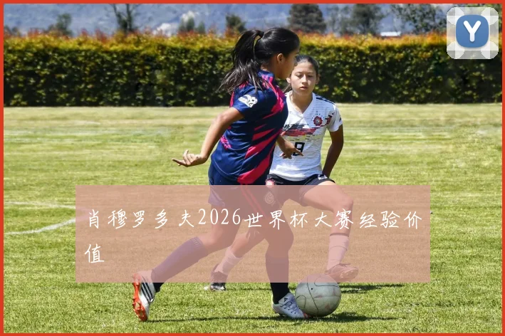 肖穆罗多夫2026世界杯大赛经验价值
