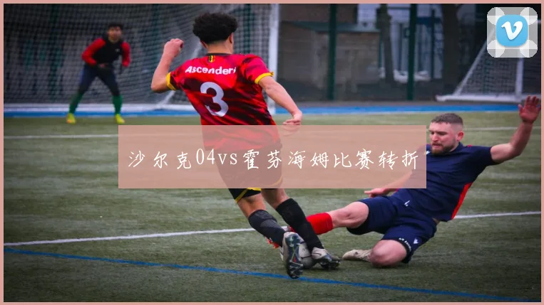 沙尔克04vs霍芬海姆比赛转折