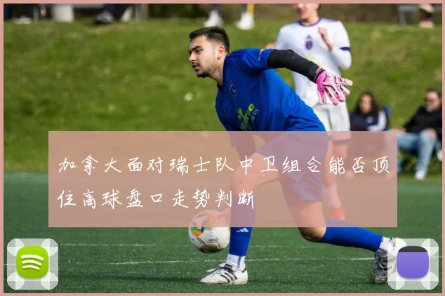 加拿大面对瑞士队中卫组合能否顶住高球盘口走势判断